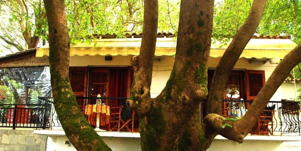 Parselia Rooms ثيرما المظهر الخارجي الصورة