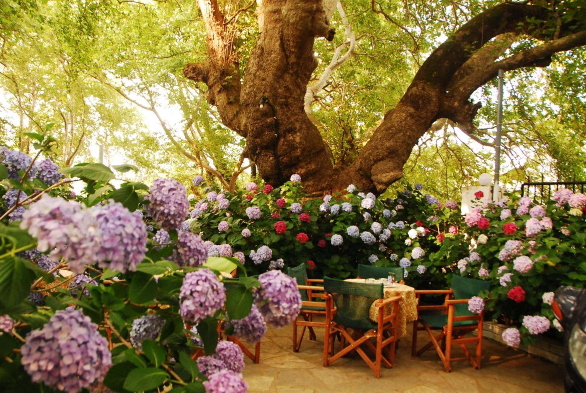 Parselia Rooms ثيرما الغرفة الصورة